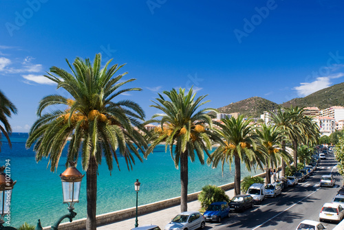 Ajaccio coast  Corsica  France