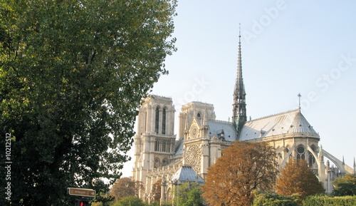 Cathédrale de Notre Dame, Arbres, Paris, France.