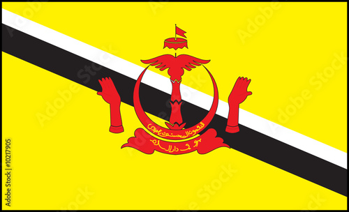 Brunei flag