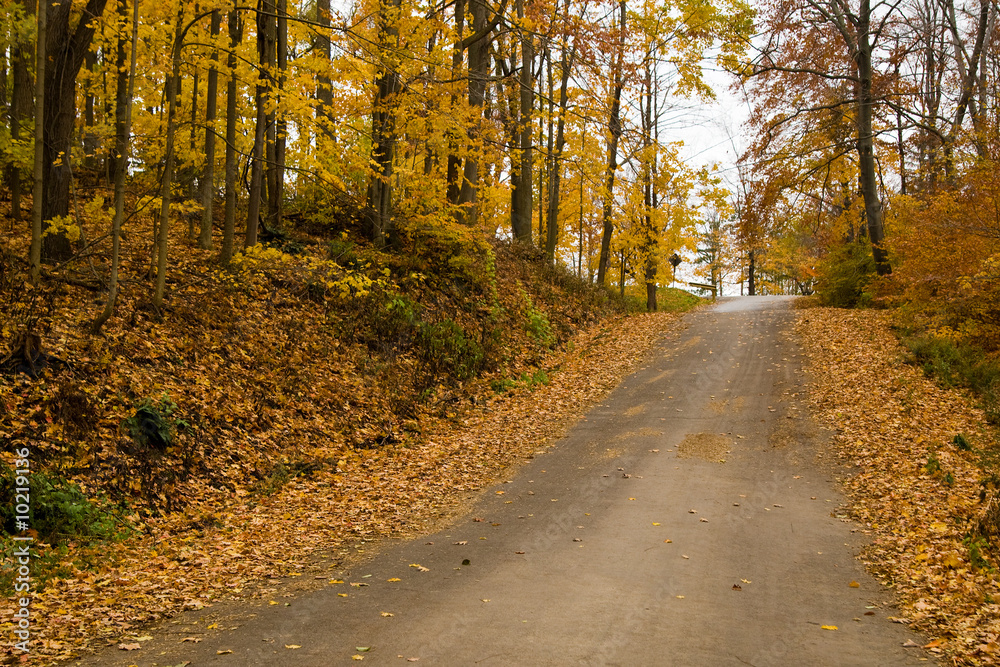 An inclined road surrounded by autumn foliage.