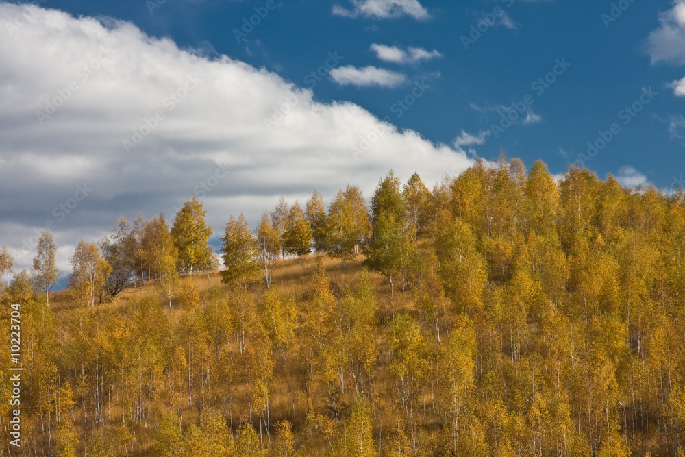 Autumn landscape in Retezat Mountains, Romania.