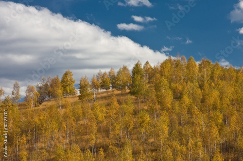 Autumn landscape in Retezat Mountains, Romania.