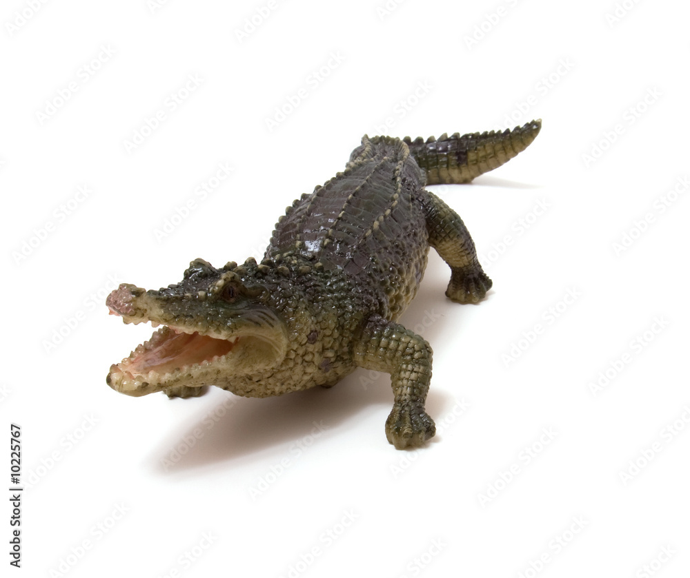 Fototapeta premium Ceramics crocodile isolated on white background