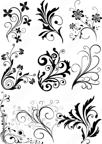 floral design elements