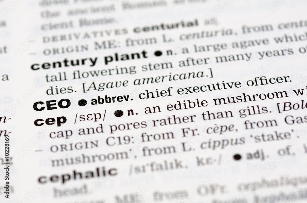 A close up of the word CEO from a dictionary A close up of the word CEO from a dictionary