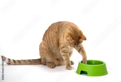 Dip