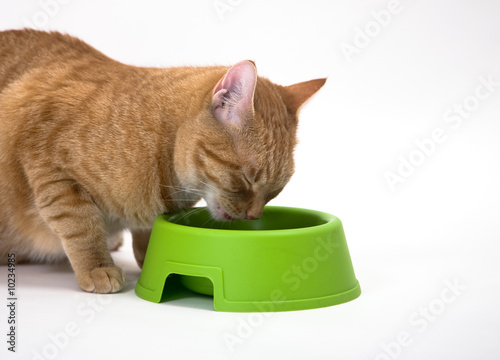 Lunch time