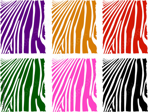 color zebra skin set
