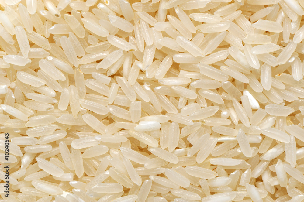 rice rice