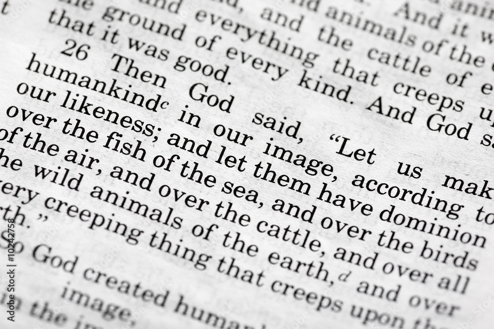 Genesis 1:26 - a popular verse in the Bible's Old Testament Genesis 1:26 - a popular verse in the Bible's Old Testament