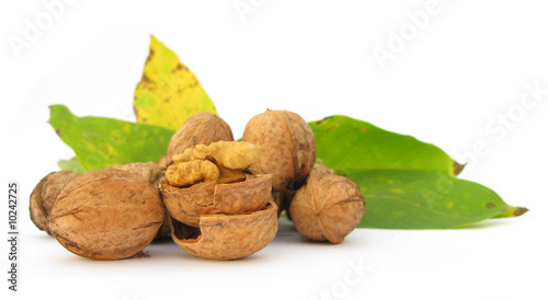 Walnuts broken with leaves on white