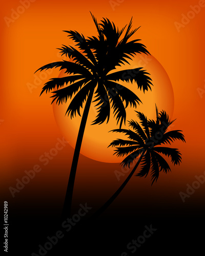 Fototapeta Naklejka Na Ścianę i Meble -  Kind of Urban Art palms in the sunset between black and orange