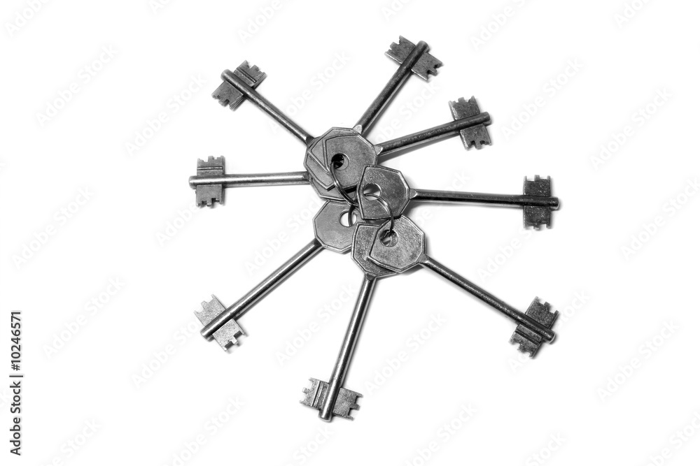 Obraz premium The keys - isolated on white