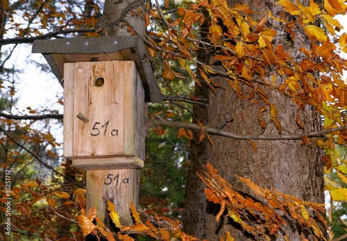 Vogelhaus - Haus am Baum 51a photo