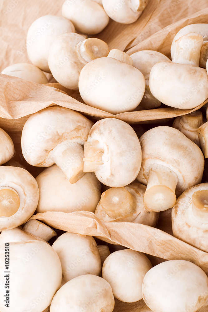 Mushrooms, champigion