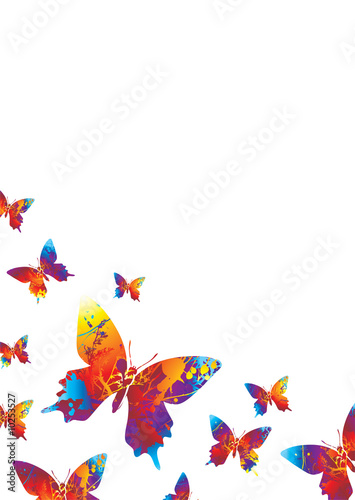 Collection of bright coloured butterflys on a white background