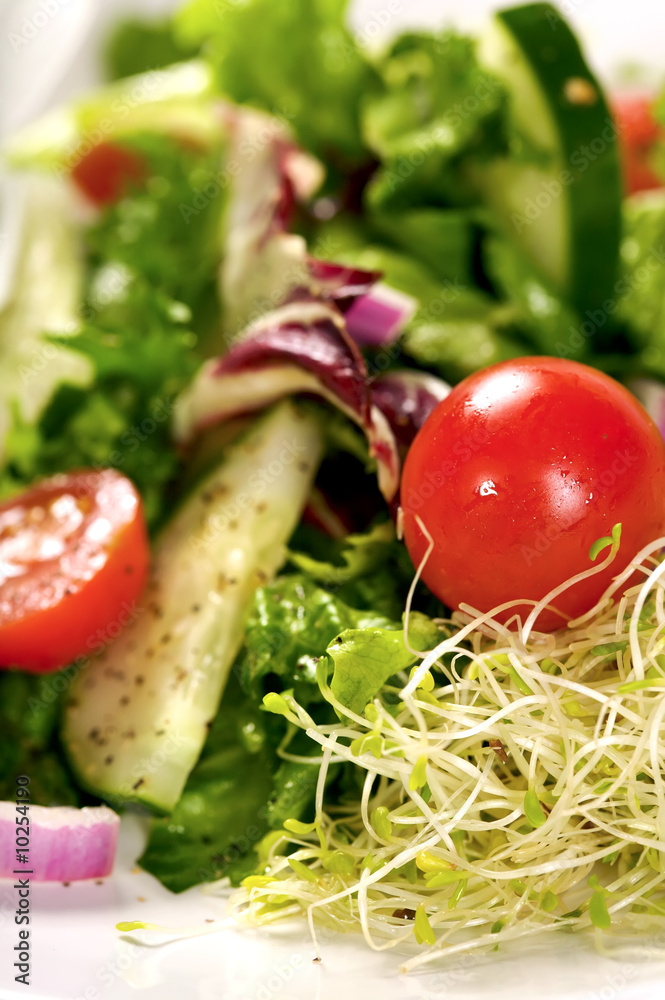 Green Salad with Vegetables and lemon slice Green Salad with Vegetables and lemon slice