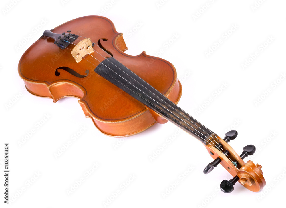 Fototapeta premium Skrzypce na białym tle