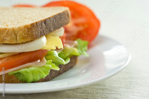 A delicious and healthy sandwich