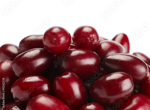 Ripe cornelian berry closeup on white background