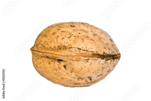 walnuts in a shell on a white background