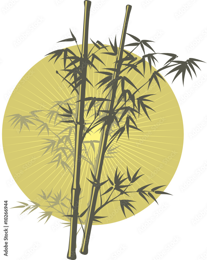 Fototapeta premium Bamboo Illustration