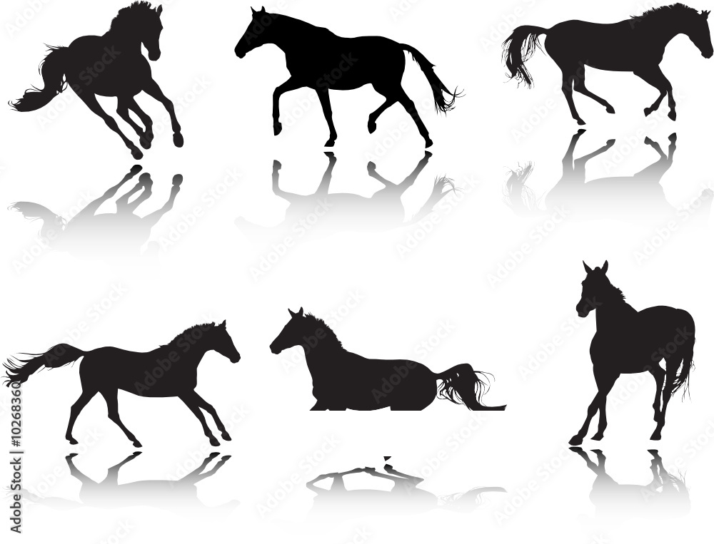 Horse silhouttes poses