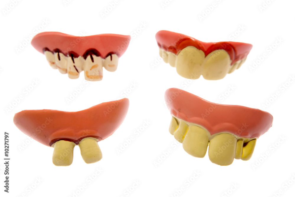 Novelty teeth Novelty teeth