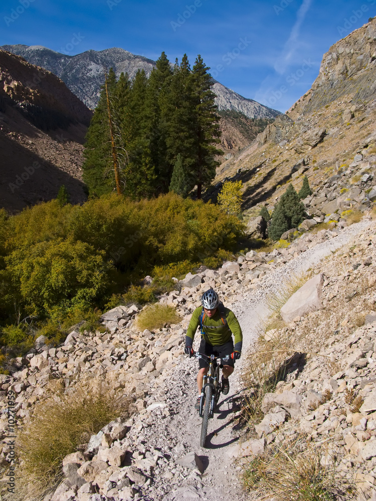 Man mountain biking on a single trac trail.
