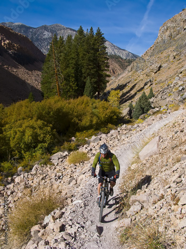 Man mountain biking on a single trac trail. © Greg Epperson
