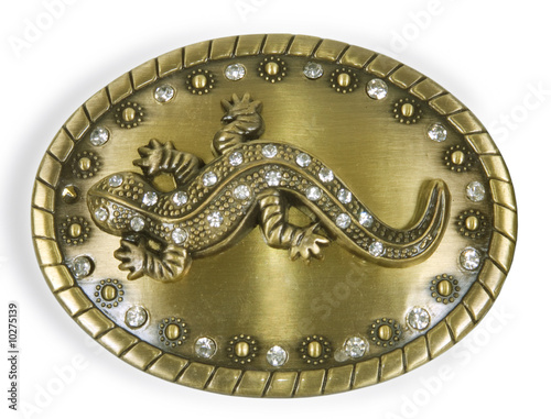 Foto oval brooch with lizard on white background