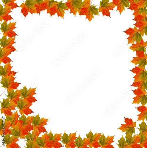 Maple Leaf Autumn Bordered Background