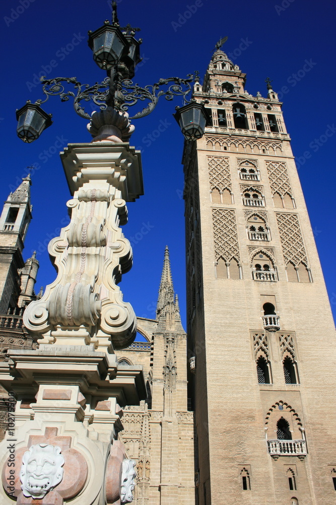 Cathédrale santa maria de sueda et la giralda à Séville