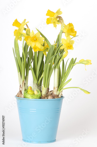 a bucket with easter daffodils and an easter decoration