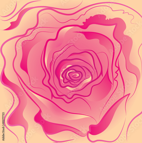 rose background