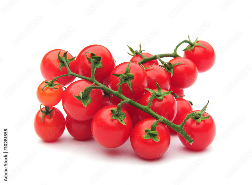 Homegrown cherry tomatoes on the vine Homegrown cherry tomatoes on the vine