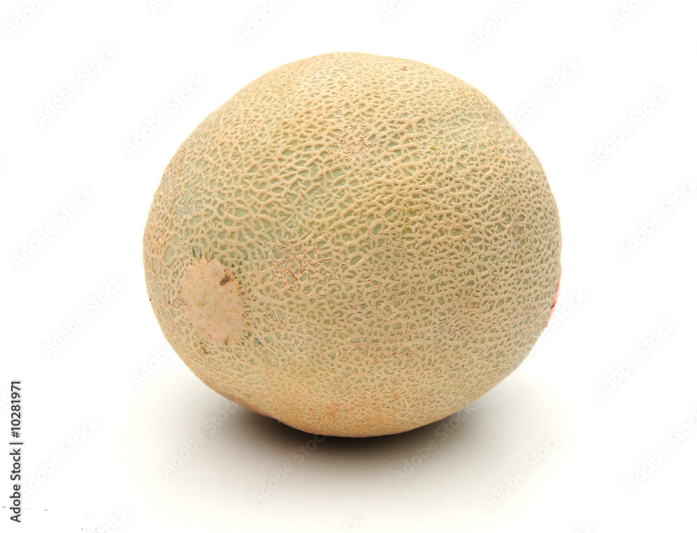 cantaloupe melon