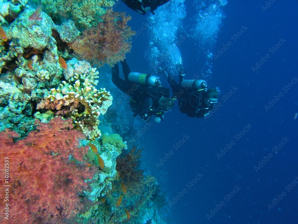 Fototapeta premium Divers on the reef