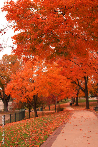 Beautiful Fall Colors in Lake Geneva  Wisconsin