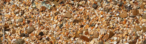 The fragment of  beach with colored shells. photo