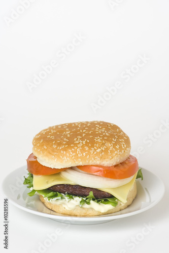 juicy hamburger meat lettuce tomato and onion mayonnaise