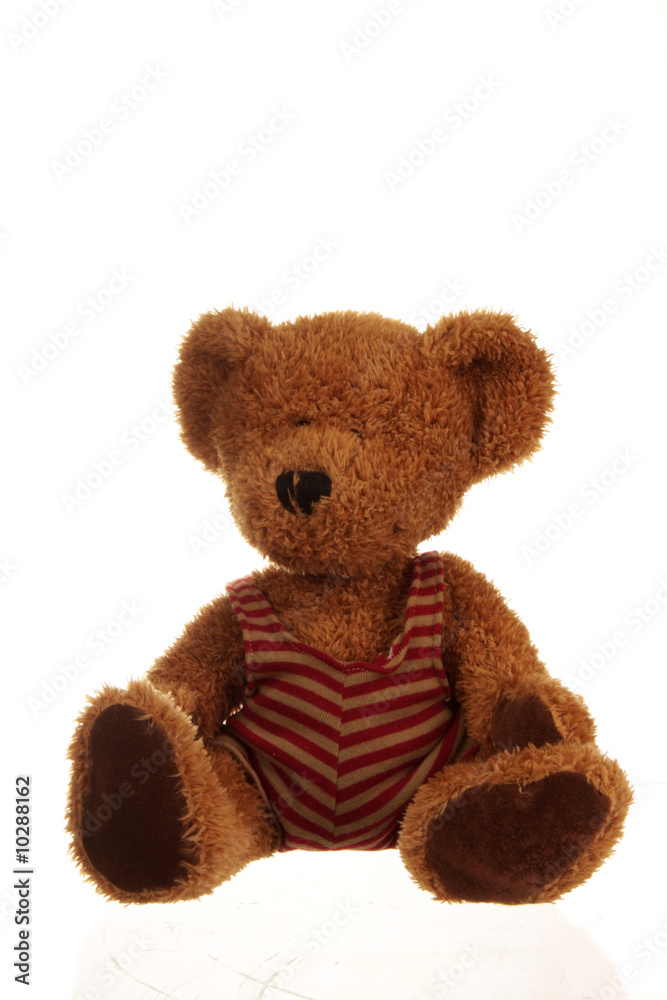a cute little teddy bear sitting, isolated on white, very cuddly a cute little teddy bear sitting, isolated on white, very cuddly