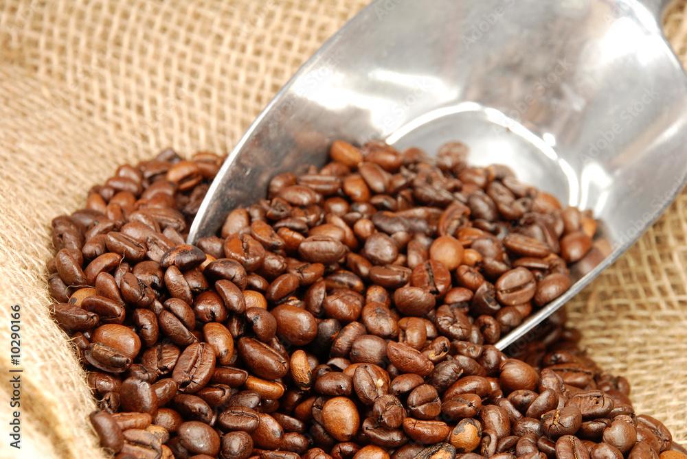 Fototapeta premium Kaffeebohnen [3]