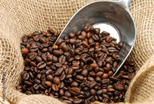 Kaffeebohnen [1]