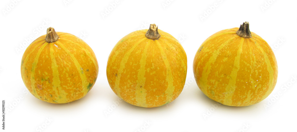 Pumpkin marrow vegetable Squash three pumpkins