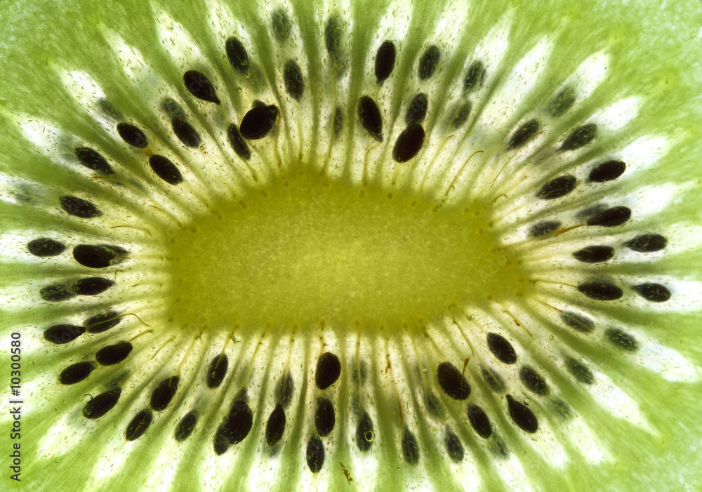 fine image close up of kiwi background detail 02 fine image close up of kiwi background detail 02