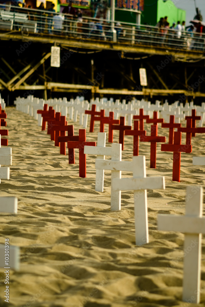 crosses lined up at the arlington memorial  in santa monica