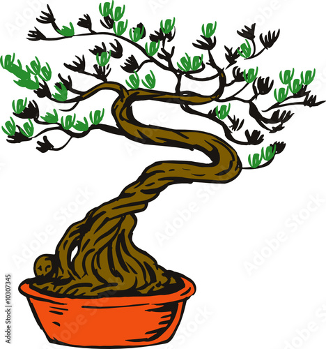 Bonsai tree