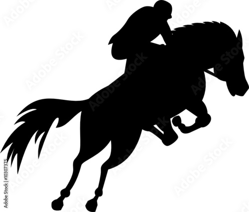 Equestrian show jumping