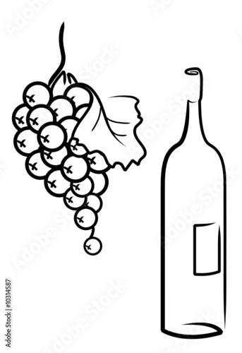 Wine and Grapes